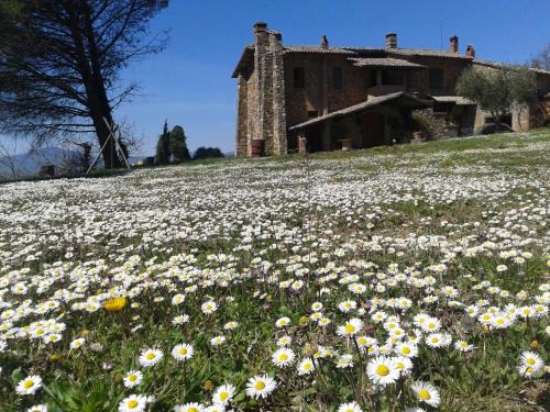 Agriturismo Le 