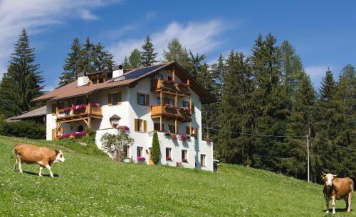 Stroblhof 