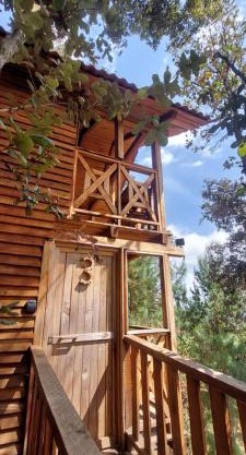 Cabaña En El Bosque De San José Del Pacífico 
