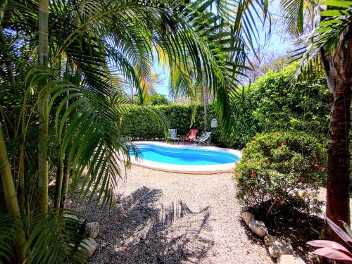Casa Ceiba Samara 