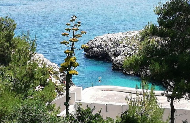 Casa Marittima