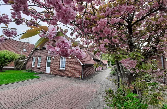 Ebbe 