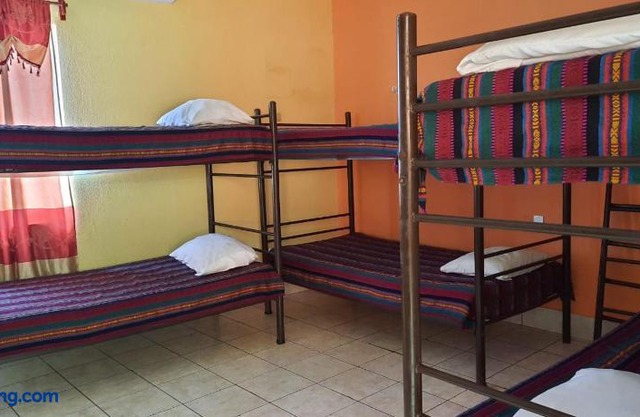 Green Monkey Hostel