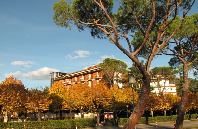 Hotel Torretta
