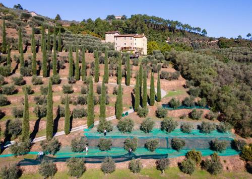 Tuscan Villa Lucca 