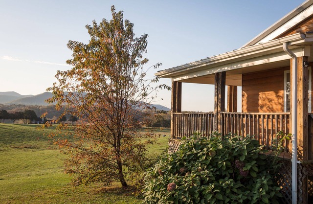 Luxury Cabin for 8 @ River's Bend Ranch; river access & trail rides on site.