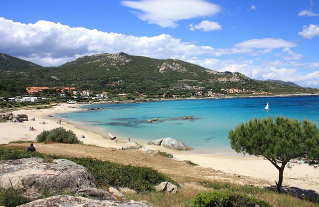 Monte e Mare 155, sea view in Sant'Ambroggio COCODY