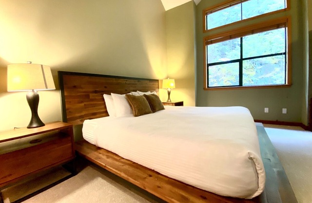 Northern Lights #34 - New VRBO Listing, Ski In Ski Out, Hot Tub (STRINGENT CLEANING PRACTICES)