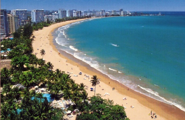 Verdanza Carolina 