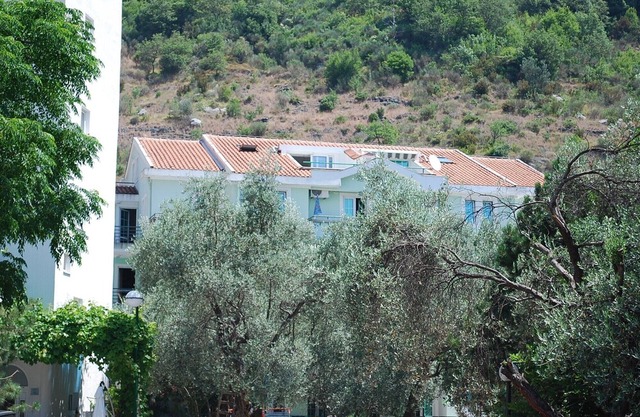 Spacious apartment on the Budva Riviera, 350 metres from a beautiful beach