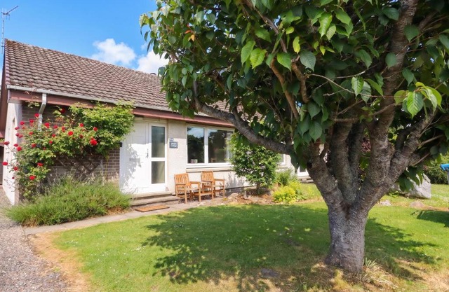 Steam Cottage 