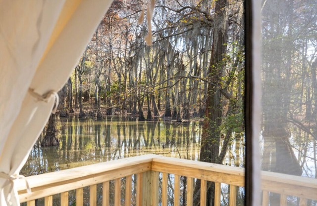 Tentrr State Park Site - Mississippi LeFleur's Bluff State Park - By the Bayou D