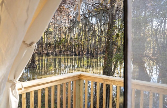 Tentrr State Park Site - Mississippi LeFleur's Bluff State Park - By the Bayou E