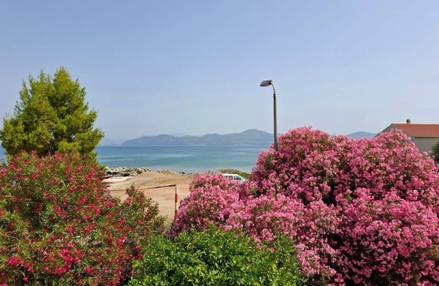 Beach Drače Pelješac 