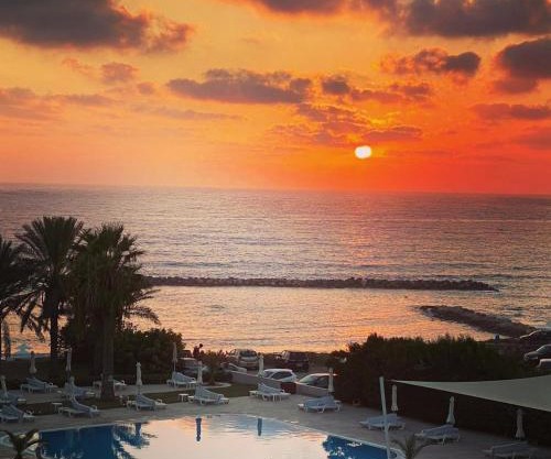 Venus Beach Hotel 