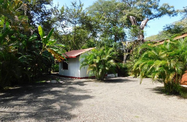 Villas Jungle 