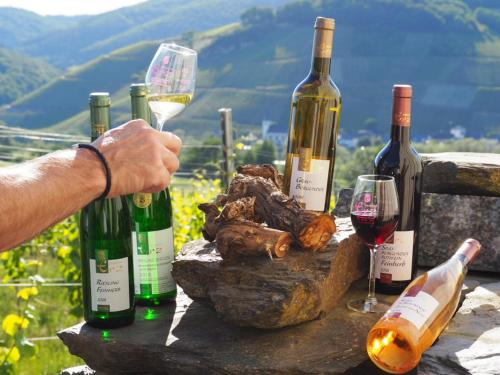 Weingut 