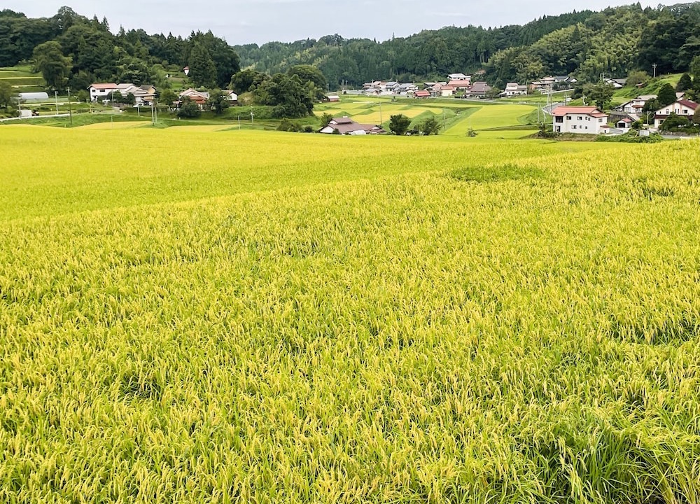 Okuizumo-cho Hotel | Jeck