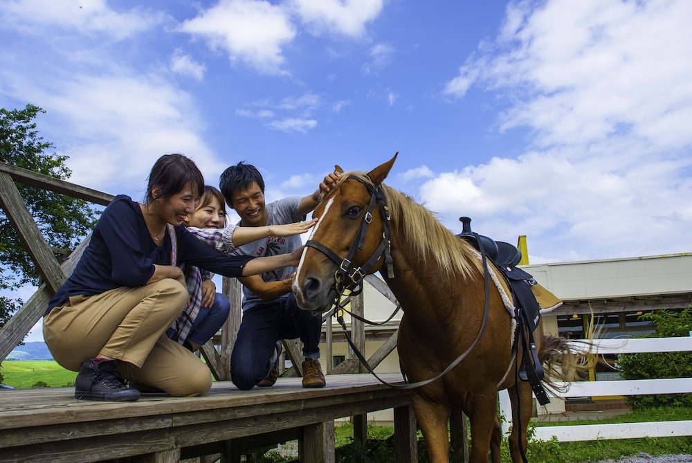Aso Hotel | El Patio Ranch