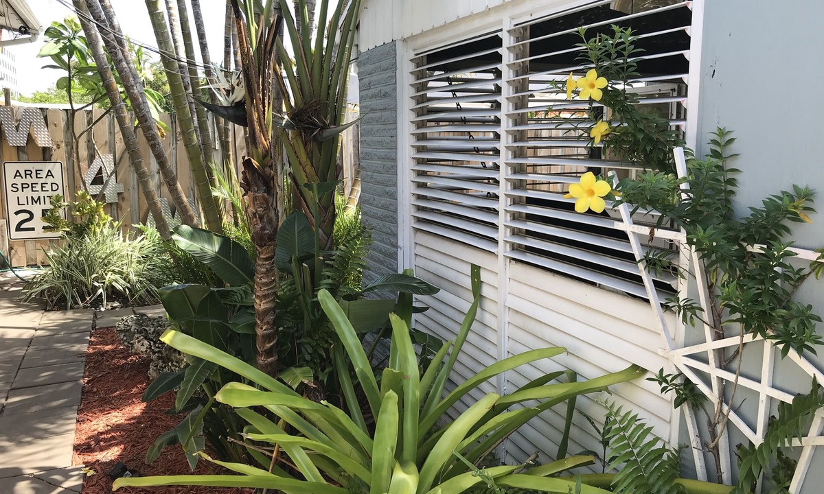 Harbordale Hotel | Inn Leather Guest House - Male Only Lgbt
