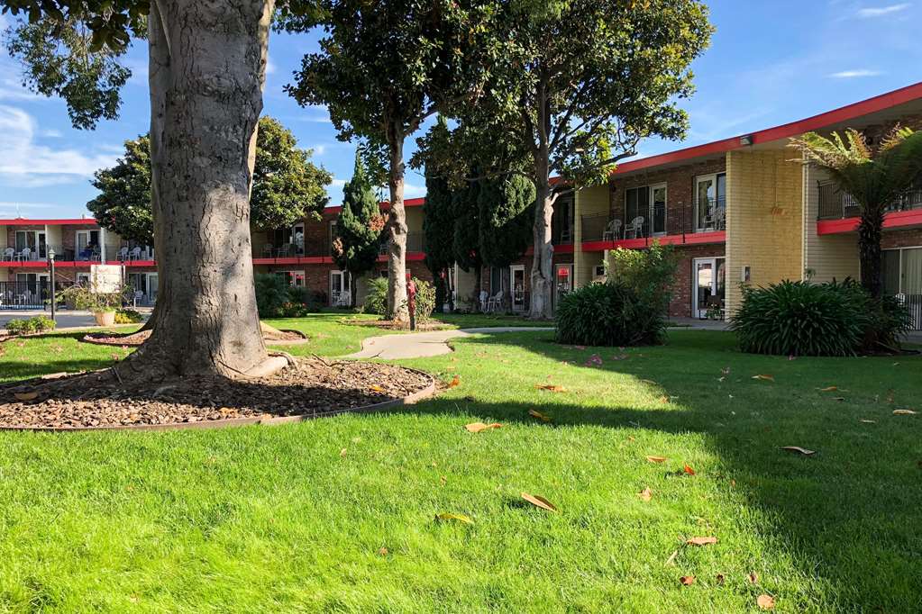 Oakland Hotel | Econo Lodge Inn & Suites Oakland Airport