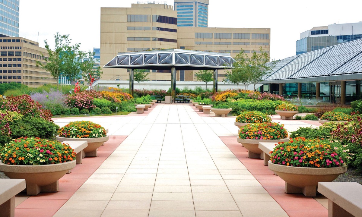 Baltimore Hotel | Hampton Inn Baltimore Bayview Campus
