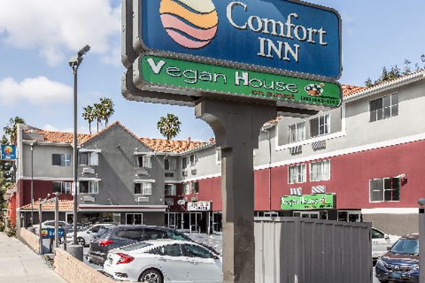 Sunset Junction Hotel | Comfort Inn Los Angeles Near Hollywood