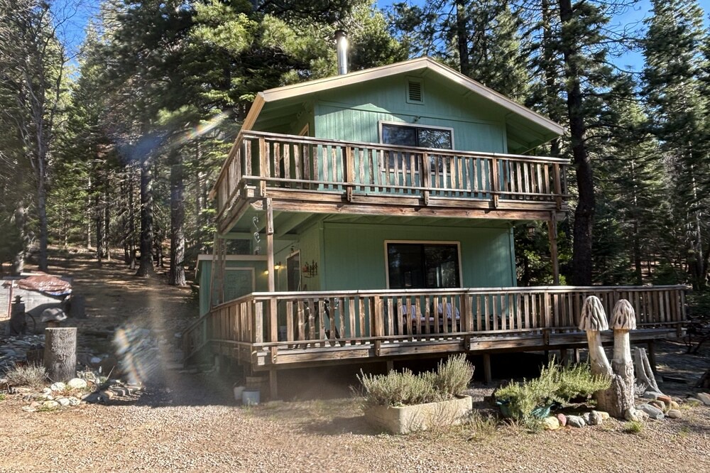 Weed House | Cozy one bedroom home in the woods 5 miles from the town of Mount Shasta.