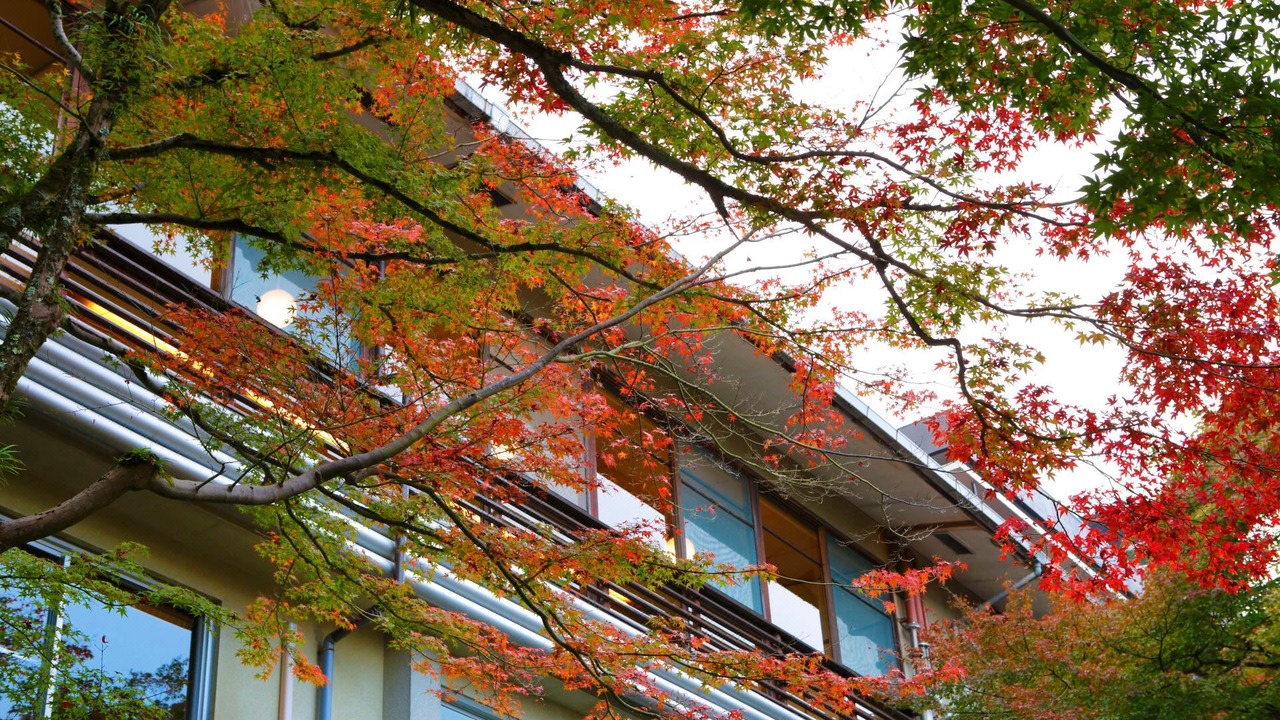 Photo of Buildings in Kita Ward