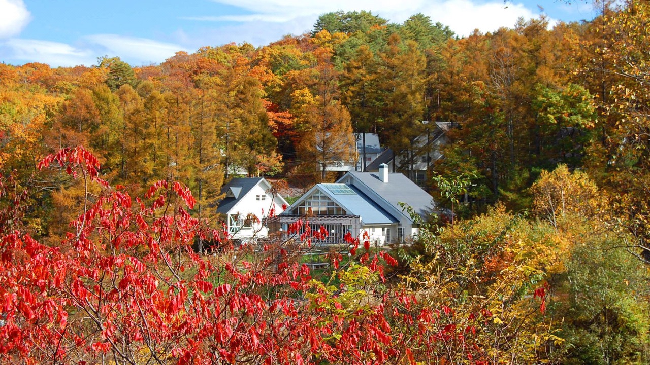 Photo of Outdoor in Hakusan National Park