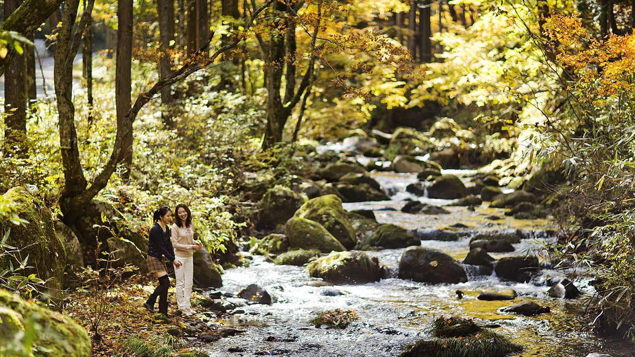 Photo of Others in Hakusan National Park