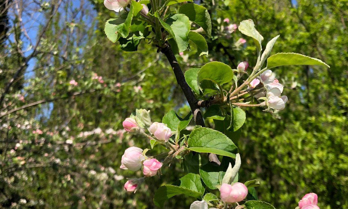 Photo of Outdoor in Tessera