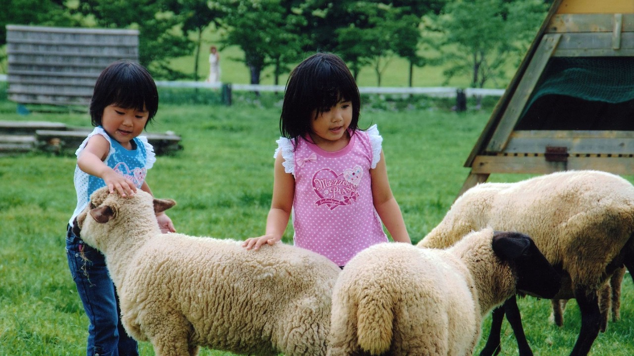 Photo of Human In Picture in Hakusan National Park
