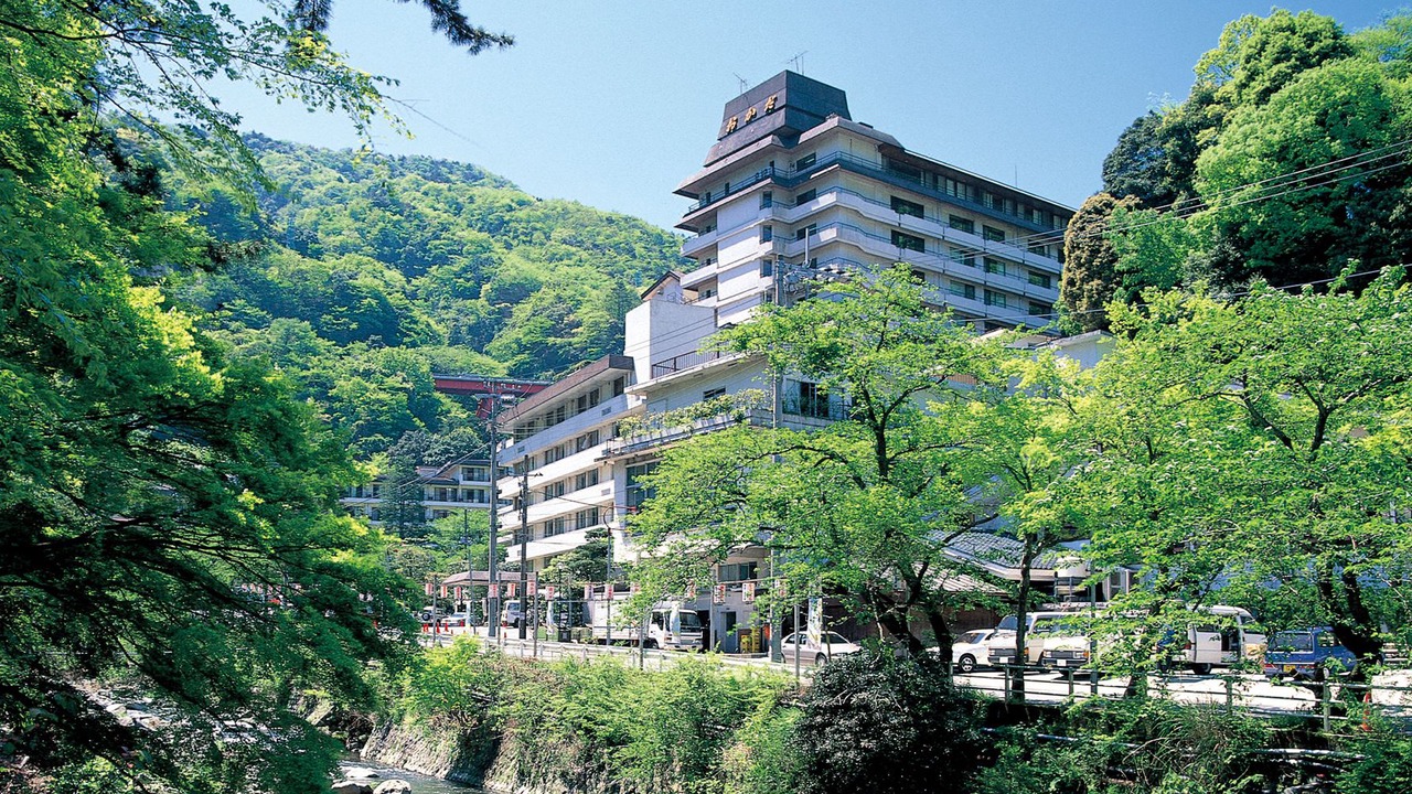 Photo of Others in Hakone Hot Springs