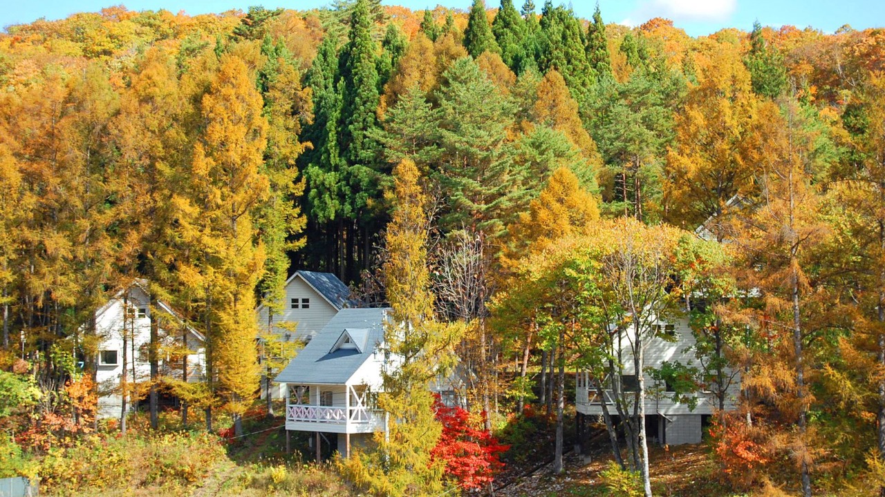 Photo of Outdoor in Hakusan National Park