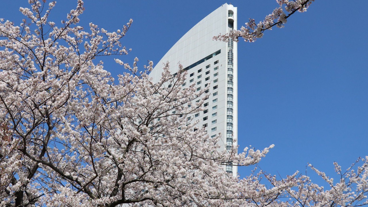 Photo of Buildings in Yokohama City Centre