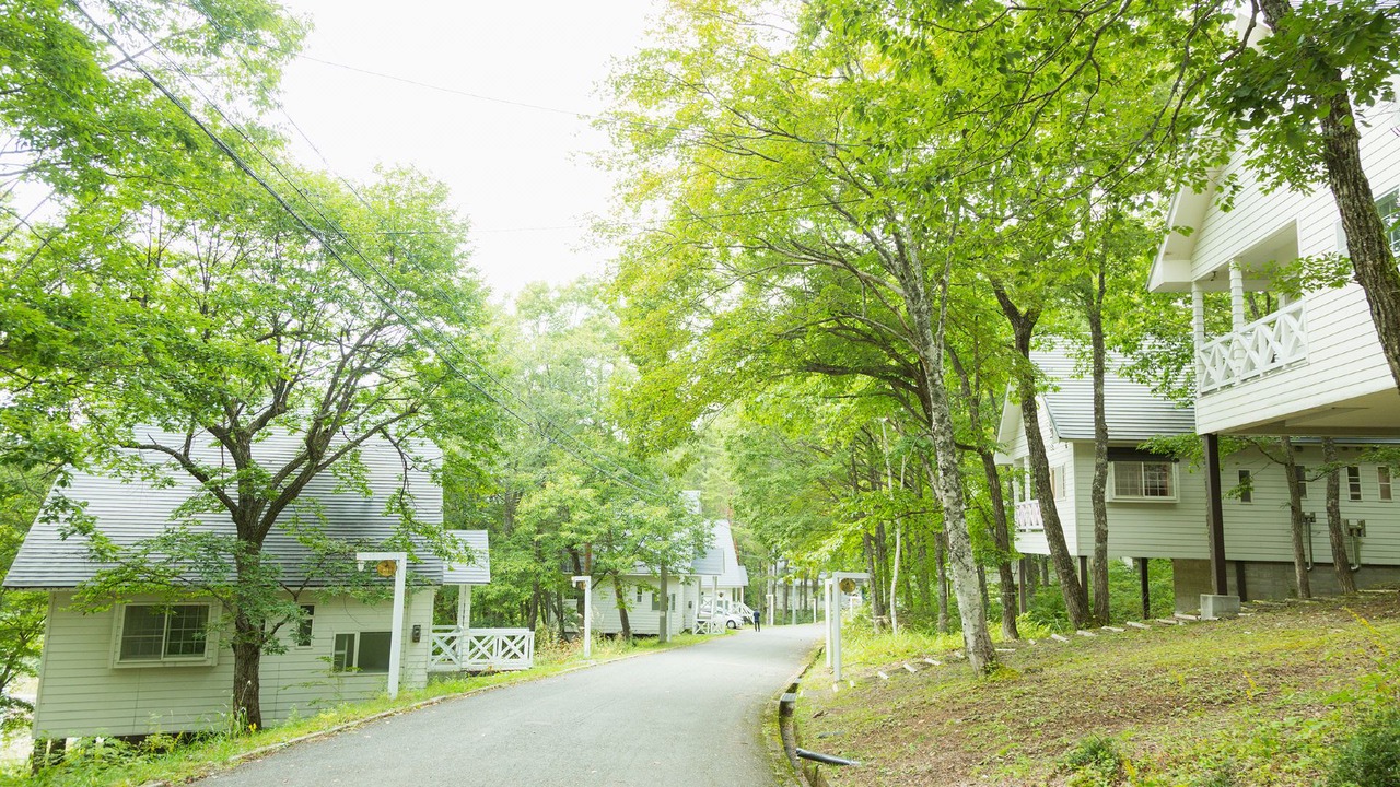 Photo of Others in Hakusan National Park