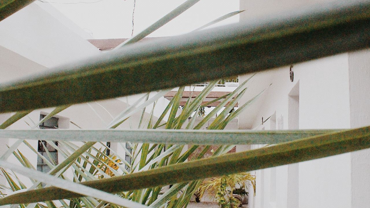Photo of Patio Balcony in Barrio de Santiago