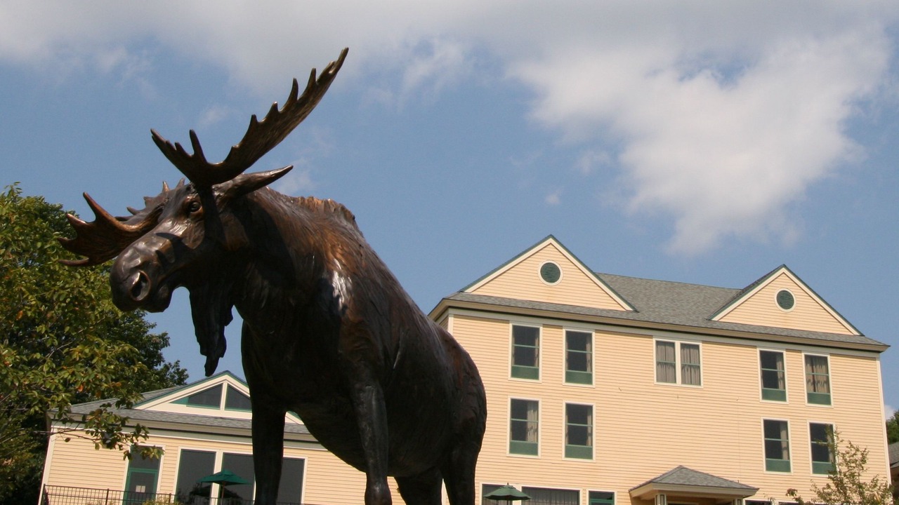 Photo of Buildings in Freeport