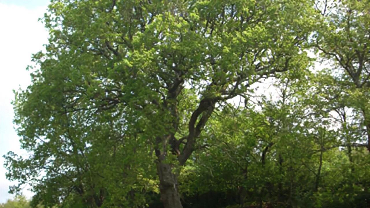 Photo of Outdoor in Acquapendente