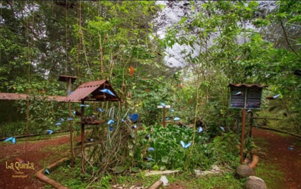 Photo of Others in Chilamate