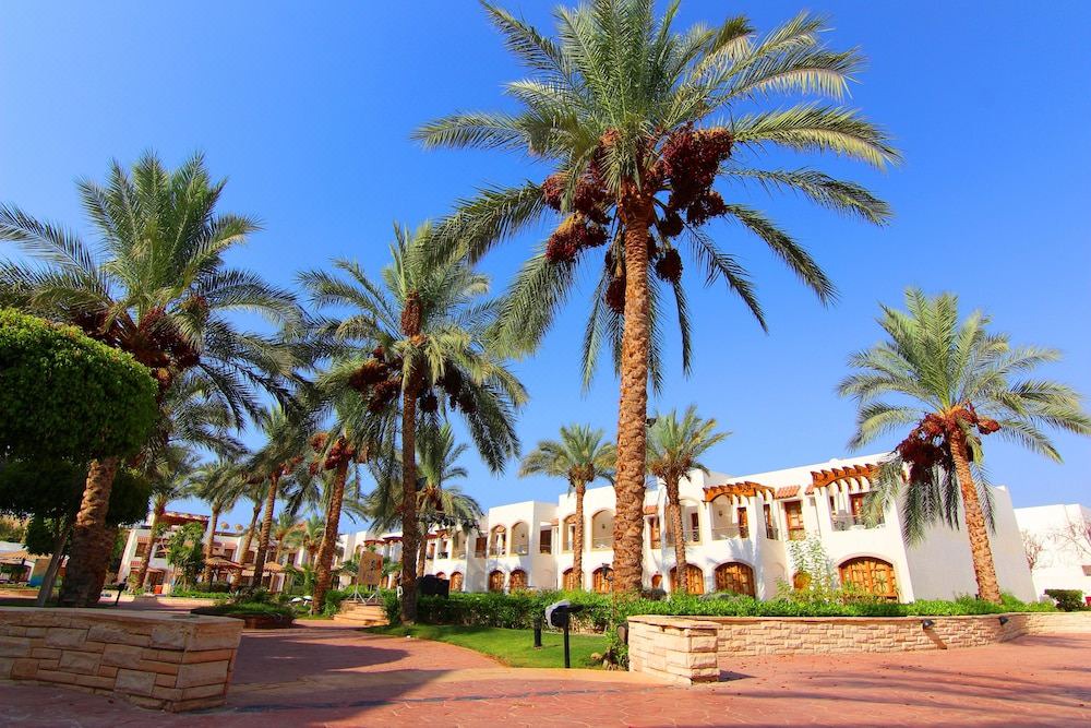 Photo of Buildings in El Hadaba