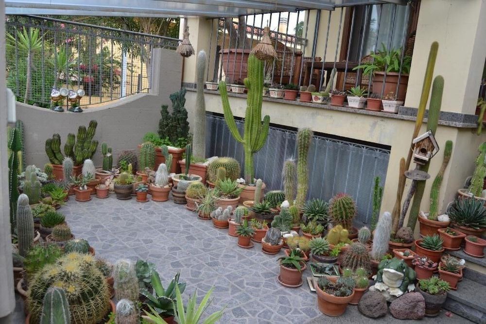 Photo of Others in Torre Grande