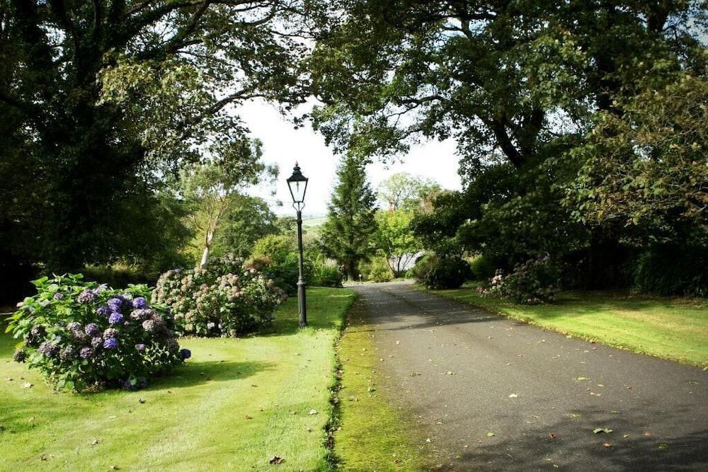 Photo of Others in Okehampton