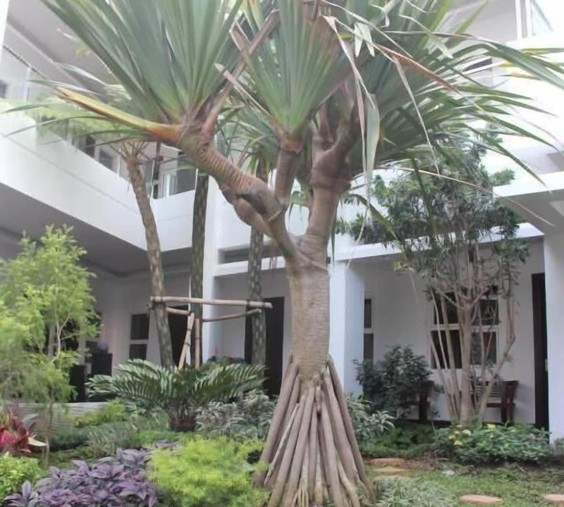 Photo of Buildings in Dinoyo