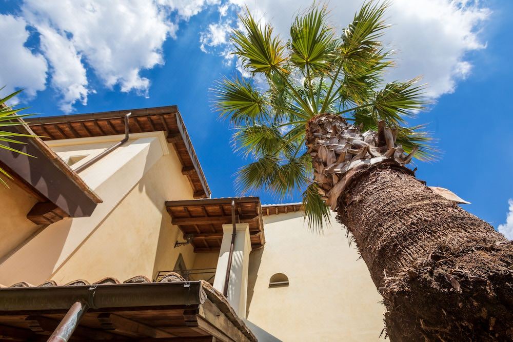 Photo of Buildings in Ciampino
