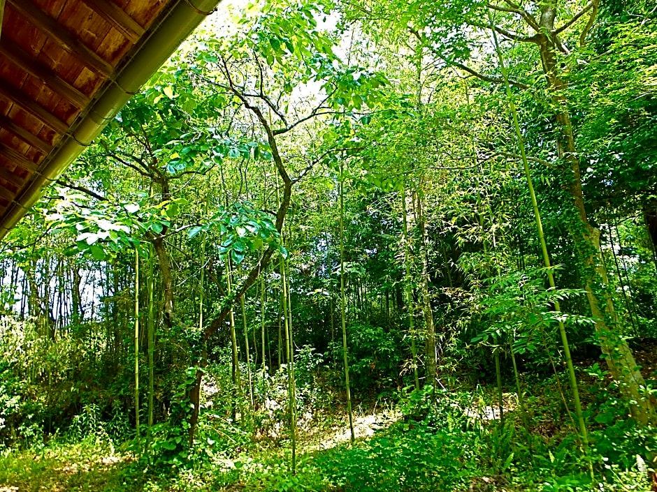 Photo of Others in Aoshima Onsen