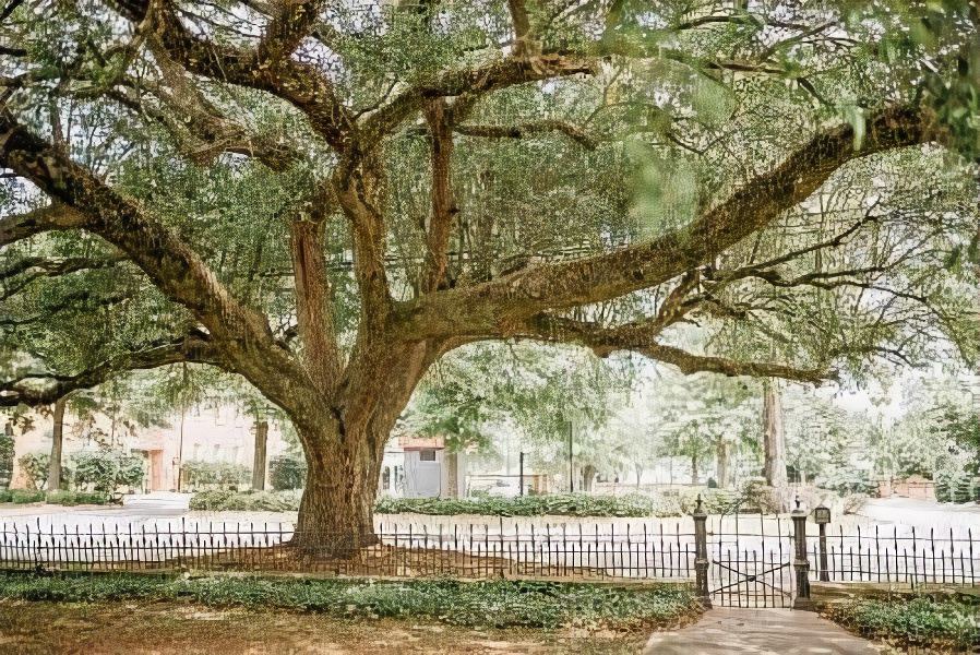Photo of Others in Sumter