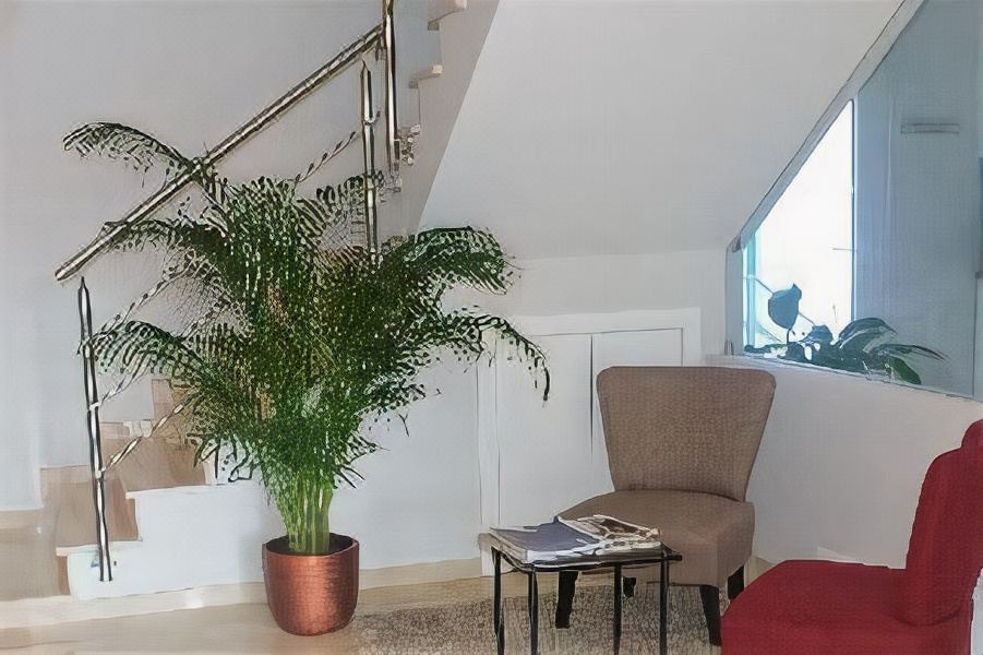 Photo of Livingroom in Consolacao