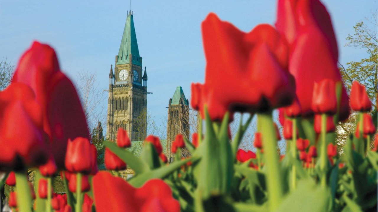 Photo of Others in Byward Market - Parliament Hill